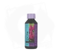 bbl-250ml.jpg
