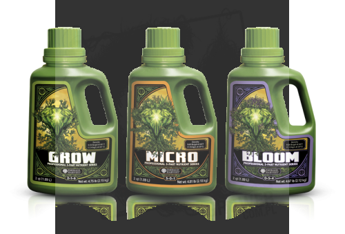 grow micro bloom 1.png