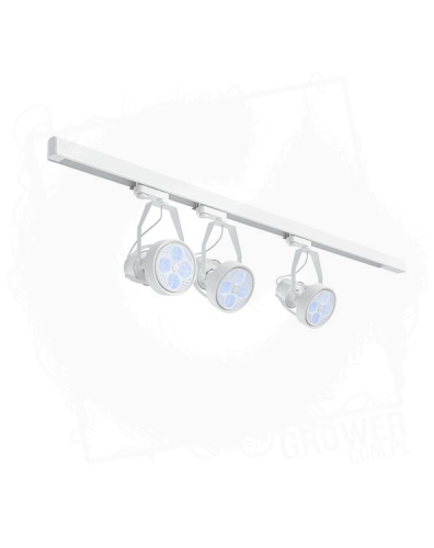 VERTICANA  3x zarowka holder szyna BIALY.jpg