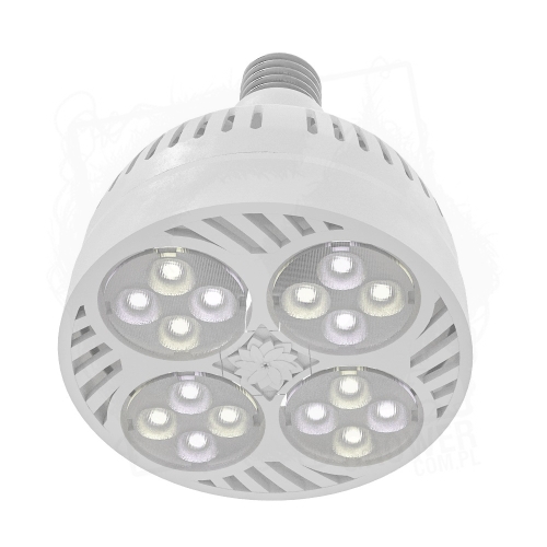 VertiCana? biała żarówka.jpg