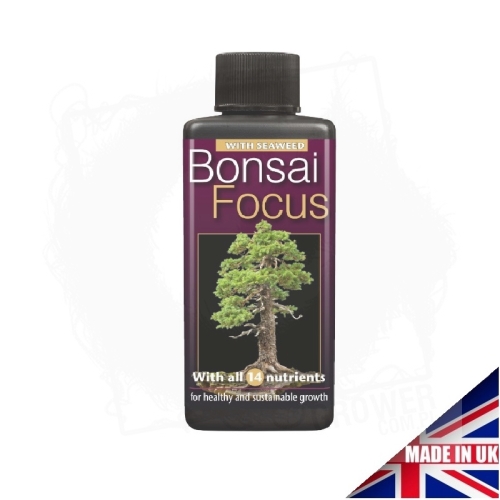 Bonsai Focus 300ml.jpg