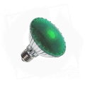 Żarówka Agrolite 100W BT1.jpg
