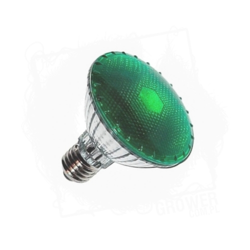 Żarówka Agrolite 100W BT1.jpg