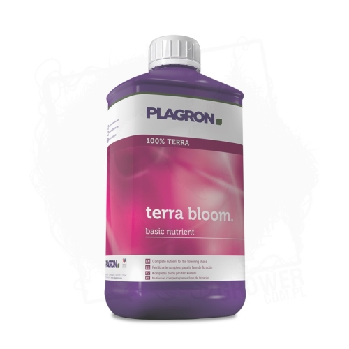 Terra Bloom BT 1.jpg