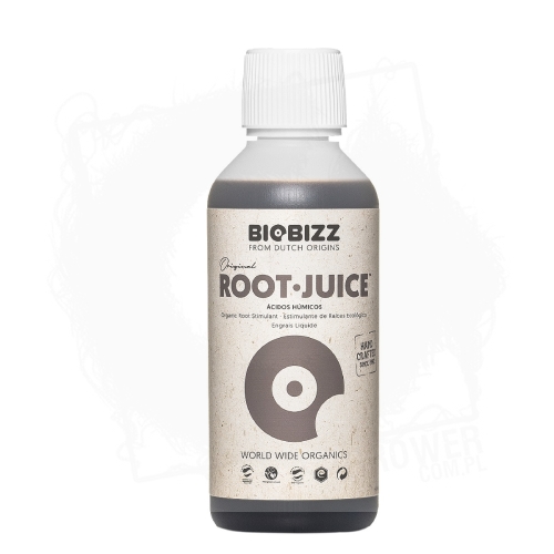 ROOT-JUICE 250 ml.jpg