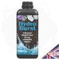 Hydro-Burst 1L BT.jpg