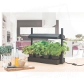 Garland Micro Grow Light Garden 4.jpg