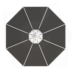 Daisy ?60 cm 5 BT.jpg