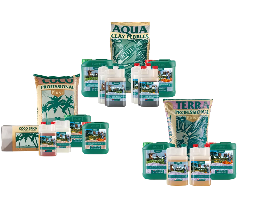 Jak dobrać nawozy Canna do swojej hodowli?